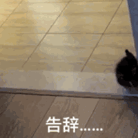 告辞（告辞）