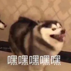 嘿嘿嘿嘿嘿（嘿嘿嘿嘿嘿）