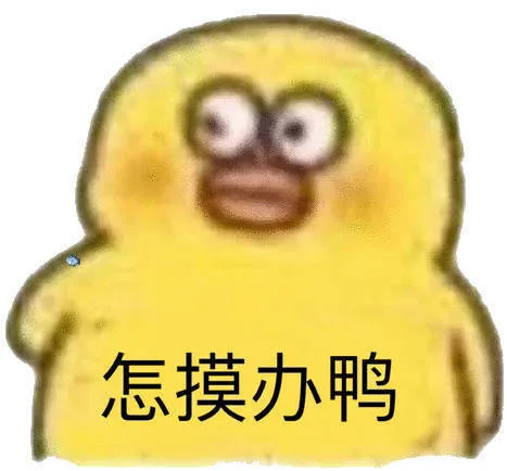 怎摸办鸭（怎摸办鸭）