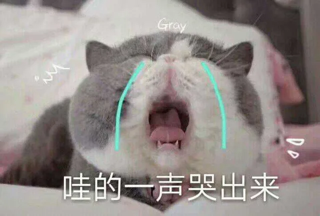 哇的一声哭出来（哇的一声哭出来）