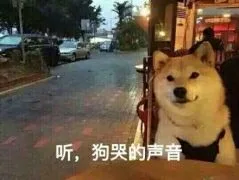 听，狗哭的声音（听，狗哭的声音）