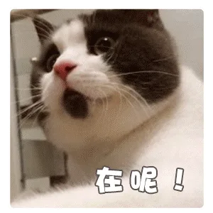 在呢（在呢）