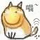 喵（喵）