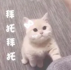拜托拜托（拜托拜托）