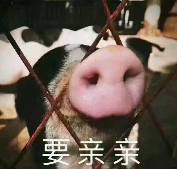 要亲亲（要亲亲）