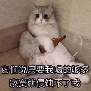 它们说只要我喝的够多，寂寞就侵蚀不了我（它们说只要我喝的够多，寂寞就侵蚀不了我）