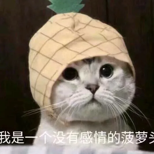 我是个有感情的菠萝头（我是个有感情的菠萝头）