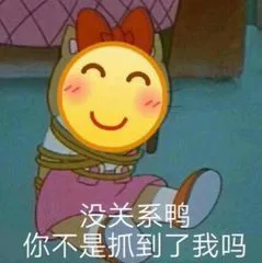 没关系鸭，你不是抓到了我吗（没关系鸭，你不是抓到了我吗）
