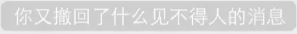 你又撤回了什么见不得人的消息（你又撤回了什么见不得人的消息）