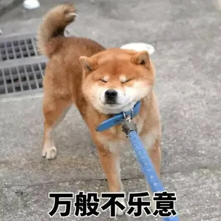 万般不乐意（万般不乐意）
