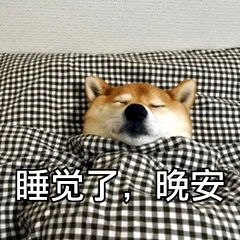 睡觉了，晚安（睡觉了，晚安）