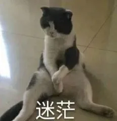 迷茫（迷茫）