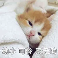 幼小可怜友助（幼小可怜友助）