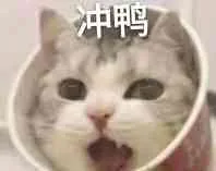 冲鸭（冲鸭）