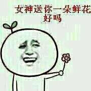 送花：女神送你一朵小鲜花好吗（送花：女神送你一朵小鲜花好吗）