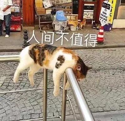 人间不值得（人间不值得）