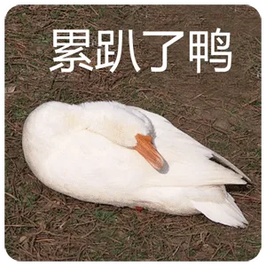 累趴了鸭（累趴了鸭）