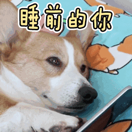 睡前的你（睡前的你）