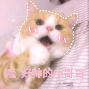 哇，好帅的小哥哥（哇，好帅的小哥哥）