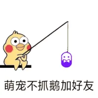 萌宠不抓鹅加好友（萌宠不抓鹅加好友）