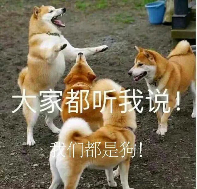 大家都听我说！（大家都听我说！）