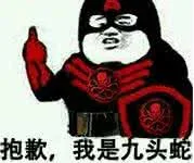 抱歉，我是九头蛇（抱歉，我是九头蛇）