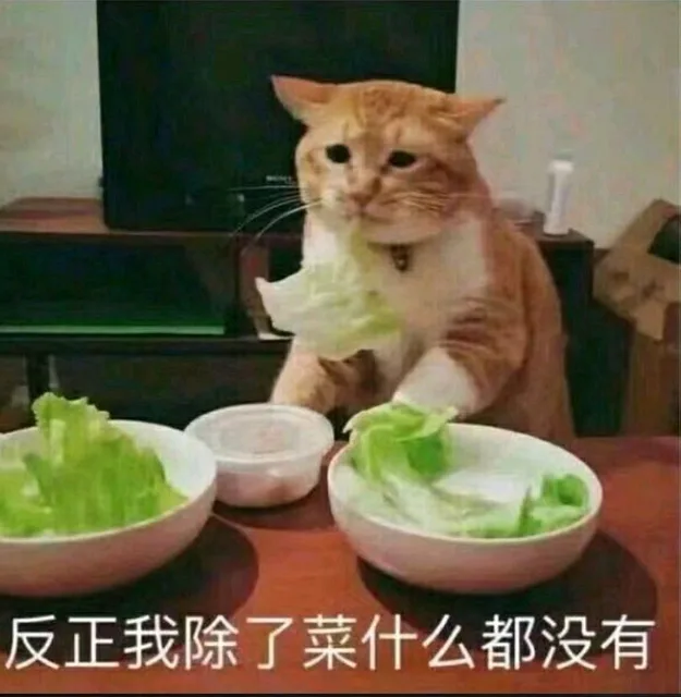 反正我除了菜什么都没有（反正我除了菜什么都没有）