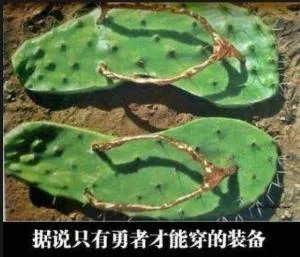 据说只有勇者才能穿的装备（据说只有勇者才能穿的装备）