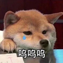 吗吗吗（吗吗吗）
