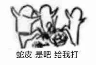 蛇皮是吧，给我打（蛇皮是吧，给我打）