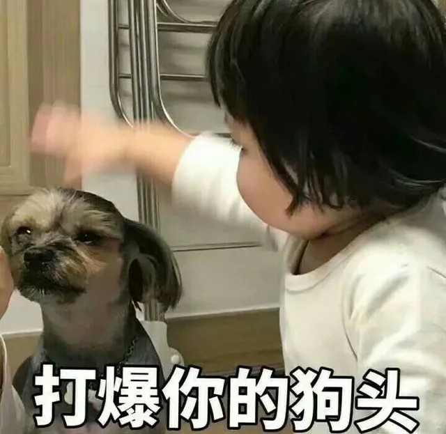 打爆你的狗头（打爆你的狗头）