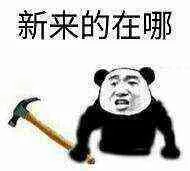 拿着锤子找麻烦：新来的在哪？（拿着锤子找麻烦：新来的在哪？）