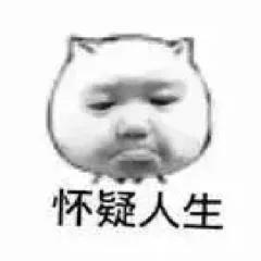 怀疑人生（怀疑人生）