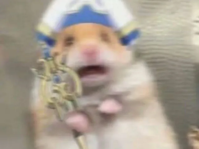 害怕死了（害怕死了）