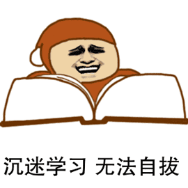 沉迷学习无法自拔（沉迷学习无法自拔）