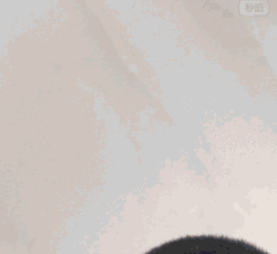 偷看一下（张一山）（偷看一下（张一山））