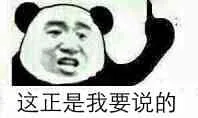 这正是我要说的（熊猫人）（这正是我要说的（熊猫人））