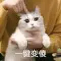 一键变傻（一键变傻）
