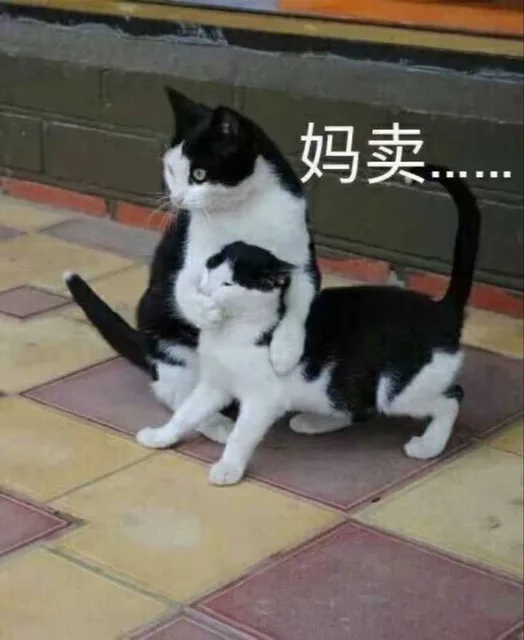 妈卖（妈卖）