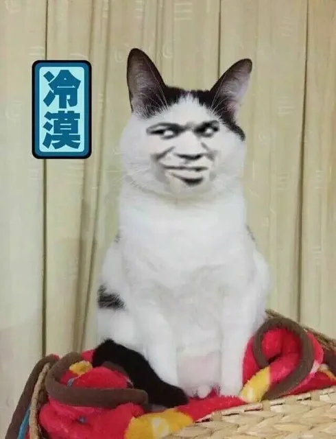 冷漠（猫星人金馆长）（冷漠（猫星人金馆长））
