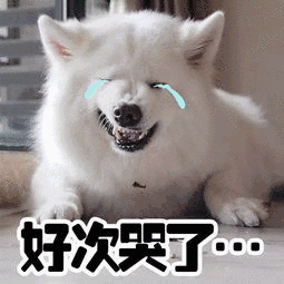 好次哭了（好次哭了）