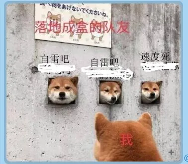 落地成盒的队友（落地成盒的队友）