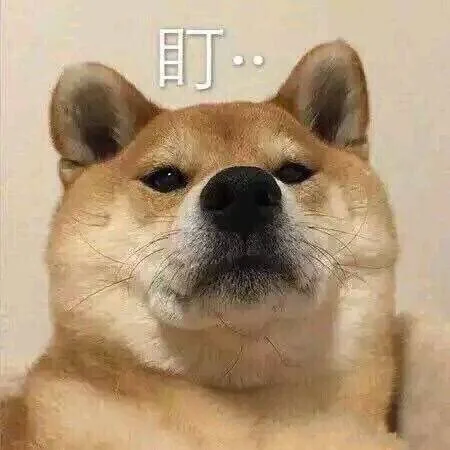 盯！（盯！）