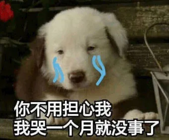 你不用担心我我哭一个月就没事了（你不用担心我我哭一个月就没事了）