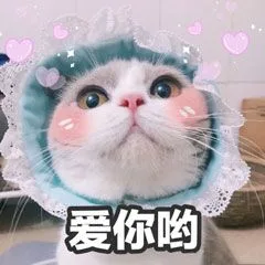 爱你哟（爱你哟）