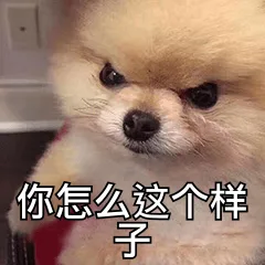 你怎么这个样（你怎么这个样）