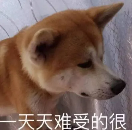 天天难受的很（天天难受的很）