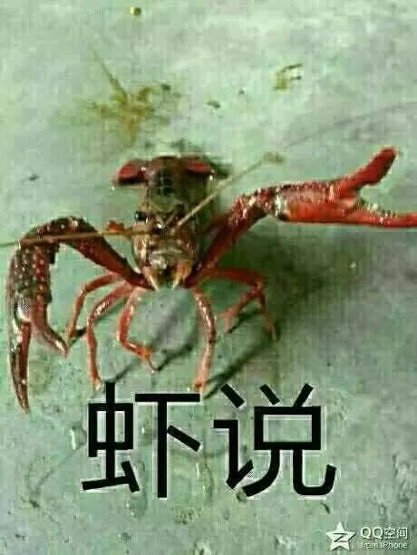 虾说（虾说）
