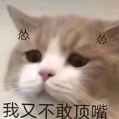 我又不敢顶嘴（我又不敢顶嘴）
