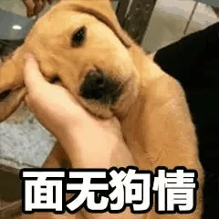 面无狗情（面无狗情）